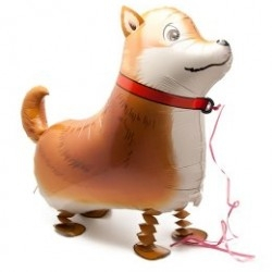 Шар Ходячая фигура, Лайка