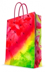 Пакет подарочный 